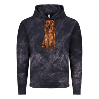 Cloud Black labrador Vintage Hoodie - JahusDesignShop
