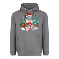 Storm cute christmas hippopotamus Heavyweight Hoodie - MaliasSmallBusiness