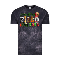 Cloud Black i am just here for field day  2023 Vintage Tee - AdoDesignShop