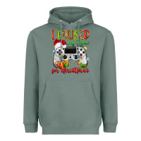 Sage i paused my game for christmas Heavyweight Hoodie - MaliasSmallBusiness
