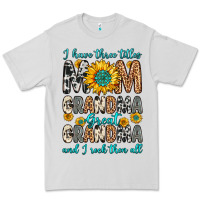 Dove Grey i have three tittles mom grandma great grandma Premium Tee - Zillion Design Studio