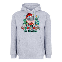 Heather Grey i want a hippopotamus for christmas Heavyweight Hoodie - MaliasSmallBusiness