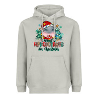 Moon Dust i want a hippopotamus for christmas Heavyweight Hoodie - MaliasSmallBusiness