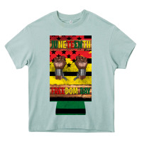 Arona juneteenth freedom day 12 oz can cooler (slim) 2 Heavy Core Tee - Artiststas