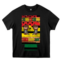 Black juneteenth freedom day 12 oz can cooler (slim) 2 Heavy Core Tee - Artiststas