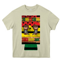 Mossy juneteenth freedom day 12 oz can cooler (slim) 2 Heavy Core Tee - Artiststas