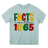 Arona facts matter 1865 Heavy Core Tee - Artiststas
