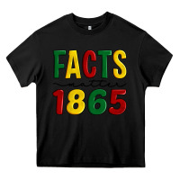 Black facts matter 1865 Heavy Core Tee - Artiststas
