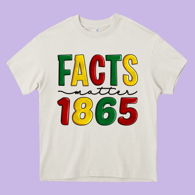 Facts Matter 1865 Heavy Core Tee Designed By Artiststas