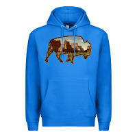 True Royal Bison Silhouette Desert Landscape Premium Hoodie - Bettercallsaul