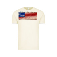 Vintage Arctic usa flag Vintage Tee - JahusDesignShop