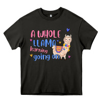 Asphalt a whole llama learning going on Heavy Core Tee - MaliasSmallBusiness