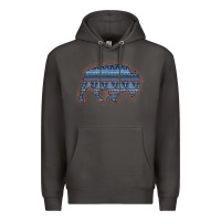 Smoke Bison Silhouette Blue Aztec Premium Hoodie - Bettercallsaul