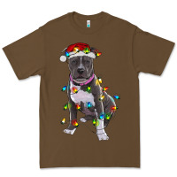 Cacao Pitbull With Christmas Lights Premium Tee - RanaPortraitStore