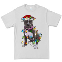 Dove Grey Pitbull With Christmas Lights Premium Tee - RanaPortraitStore