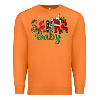 Carrot Santa Baby With Santa Premium Sweatshirt - BundleAndBundleShop