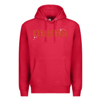 Cardinal mama stronger than the storm Premium Hoodie - JahusDesignShop