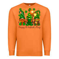 Carrot happy st. patricks day with gnomies Premium Sweatshirt - BundleAndBundleShop