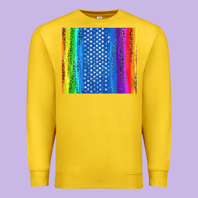 Lgbtq+ Pride American Flag Tumbler Premium Sweatshirt Designed By Bundleandbundleshop