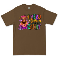 Cacao I herd there would be candy Heifer Premium Tee - RanaPortraitStore