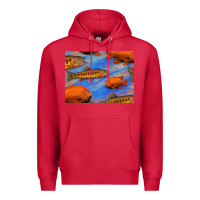 Cardinal California Golden Trout Garibaldi Fish Background Premium Hoodie - Bettercallsaul