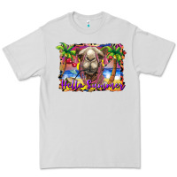Dove Grey hello summer camel at the beach Premium Tee - BarkalooDesign