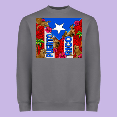 Puerto Rico Coqui Leopard Heavyweight Sweatshirt Designed By Adodesignshop
