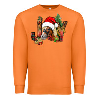 Carrot joy christmas with horse bbs Premium Sweatshirt - BundleAndBundleShop