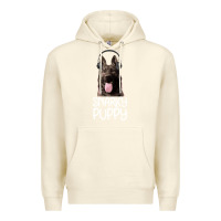 Sandshell Snarky Puppy Premium Hoodie - Bettercallsaul