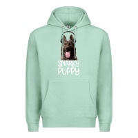 Seafoam Snarky Puppy Premium Hoodie - Bettercallsaul