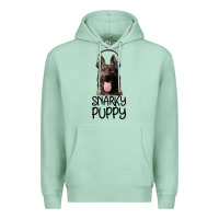 Seafoam Snarky Puppy Premium Hoodie - Bettercallsaul