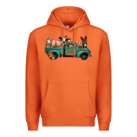 Carrot Farm Animals Truck Premium Hoodie - Bettercallsaul