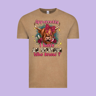 Apparently I Have An Attitude Who Knew Vintage Tee Designed By Jahusdesignshop