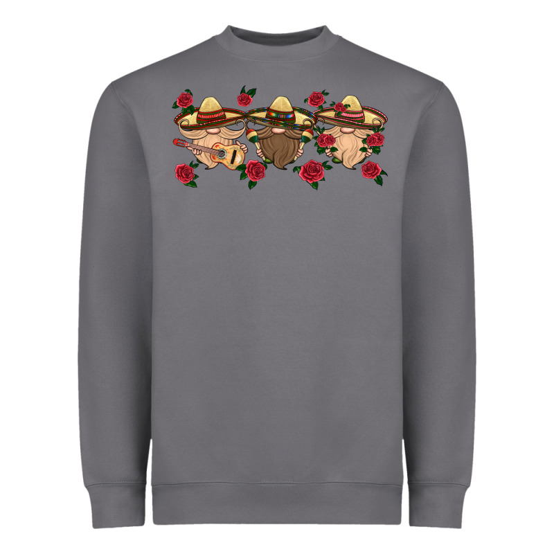 Mexico Gnomes Heavyweight Sweatshirt by HRA Design Shop | Teevron