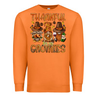 Carrot thankful for my gnomies bbs Premium Sweatshirt - BundleAndBundleShop