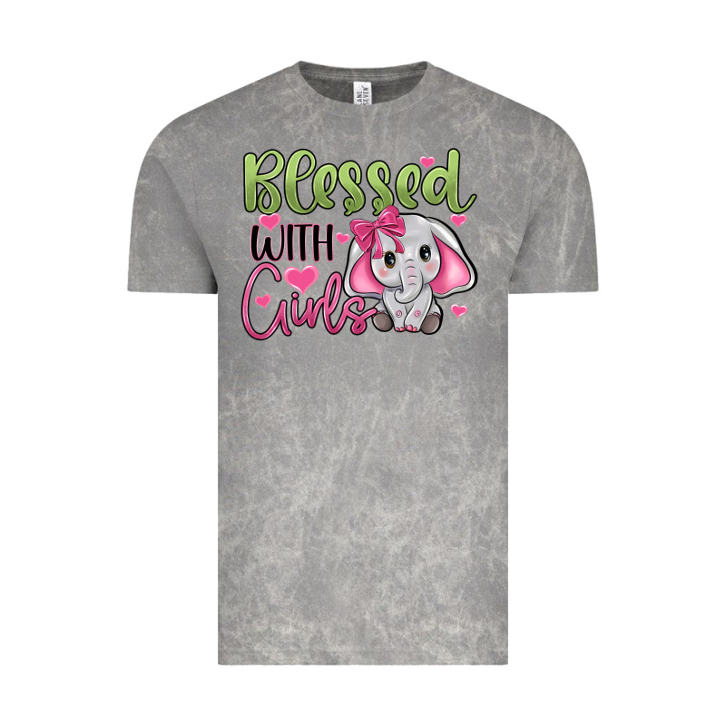 Blessed With Girls Vintage Tee by JahusDesignShop | Teevron