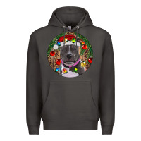 Smoke Christmas Pitbull Premium Hoodie - RanaPortraitStore