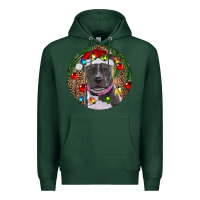 Sports Green Christmas Pitbull Premium Hoodie - RanaPortraitStore