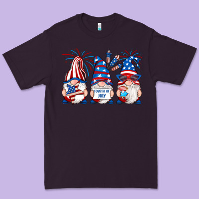 Premium Tee fourth of july gnomes