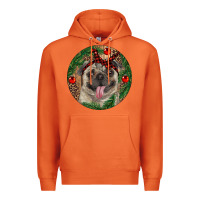 Carrot Christmas Pug With Leopard Premium Hoodie - RanaPortraitStore