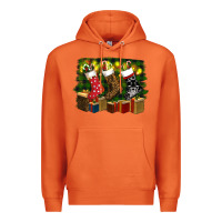 Carrot Christmas Premium Hoodie - RanaPortraitStore