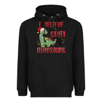 Black i believe in santa & dinosaurs Heavyweight Hoodie - MaliasSmallBusiness