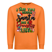 Carrot i am the reason santa has a naughty list Premium Sweatshirt - MaliasSmallBusiness