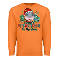Carrot i want a hippopotamus for christmas Premium Sweatshirt - MaliasSmallBusiness