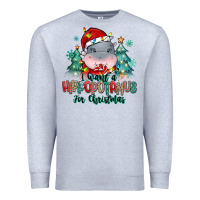 Heather Grey i want a hippopotamus for christmas Premium Sweatshirt - MaliasSmallBusiness
