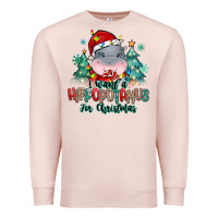 Pale Pink i want a hippopotamus for christmas Premium Sweatshirt - MaliasSmallBusiness