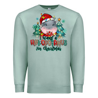 Seafoam i want a hippopotamus for christmas Premium Sweatshirt - MaliasSmallBusiness
