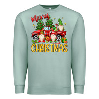 Merry Christmas Gnomes Truck Premium Sweatshirt | Teevron