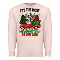 Its The Most Wonderful Time Of The Year Premium Sweatshirt | Teevron