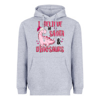 Heather Grey i believe in santa & dinosaurs pink Heavyweight Hoodie - MaliasSmallBusiness